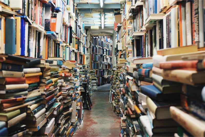 Professional qualifications article image